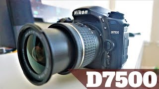 Nikon D7500 Hands On Review  Live View Auto Focus  High Speed Continuous Shooting  Overview [upl. by Raamaj626]