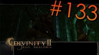 Lets Play Divinity II deutsch 133  Geshniz [upl. by Secnarf]