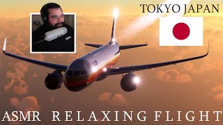 ASMR Relaxing Sunset Flight Flight Simulator [upl. by Nnahsal229]