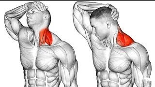 Every day 5 minute Neck exercise  Neck Exercises  OG WORKOUT SESSION [upl. by Lesnah428]