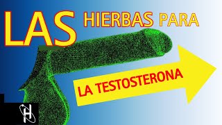 Las ÚNICAS Hierbas Poderosas que Necesitas para Aumentar la Testosterona Rápidamente💪Healthpro [upl. by Pittman79]