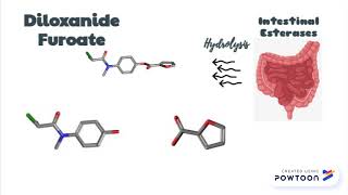 Diloxanide Furoate MOA [upl. by Adraynek]