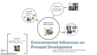 Environmental Influences on Prenatal Development [upl. by Anirazc]