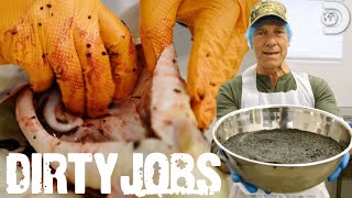 Mike Rowe Harvests Mississippi Caviar  Dirty Jobs [upl. by Einnad626]