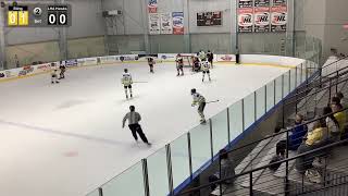 LHA 18U vs Sting at CCM Dallas  2nd amp 3rd period [upl. by Loss]