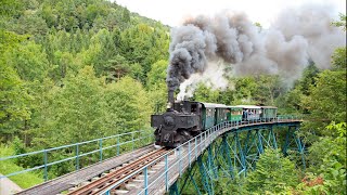 Die Ybbstalbahn 2014  von Kienberg über Lunz nach Göstling [upl. by Adnam]