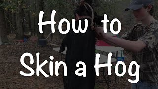 How to Skin a Hog the Easy Way [upl. by Winton314]