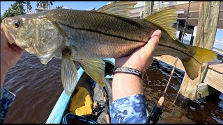 Catching dock monsters on Sanibel Island Massive snook and trout in backwater canal [upl. by Grous305]