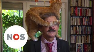 BLOOPER Kat springt op schouders baasje tijdens tvinterview Nieuwsuur [upl. by Atirehs]