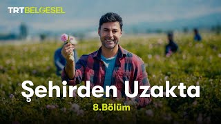 Şehirden Uzakta  Isparta  TRT Belgesel [upl. by Bonnibelle]