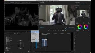 The ColorChecker Video Workflow with Premiere Pro [upl. by Nylarak]