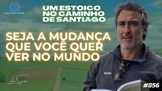 Seja a mudança que você quer ver no mundo 856 [upl. by Ecnedurp372]