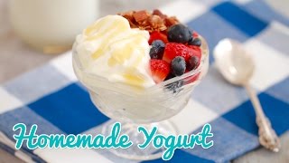 How to Make Yogurt  Gemmas Bold Baking Basics Ep 20 [upl. by Ahsitruc843]