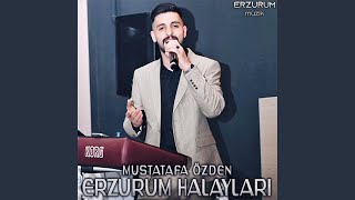 Erzurum Halayları Olaydı Yar Yol Verin Gideyim Dumanlı Dağlar Erzurum Ovaları Hop Hop [upl. by Ycnaf946]