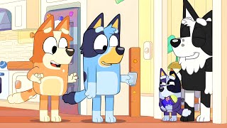 Bluey New Episodes In 2024 Revealed After The Surprise Episode [upl. by Kristie305]