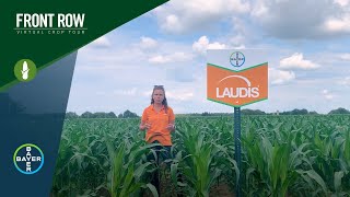 The Front Row Meet Laudis® The Corn Herbicide Youve Been Looking For [upl. by Okajima]