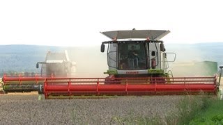 Claas Lexion 760 und Lexion 580  Weizenernte im Akkord [upl. by Eibot]