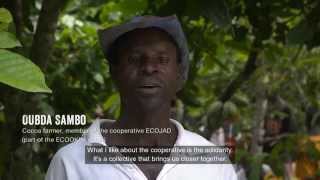 Life on a Fairtrade Cocoa Farm [upl. by Anilek]