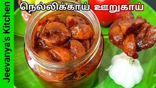 மாத கணக்கில் இருந்தாலும் சுவை மாறாத நெல்லிக்காய் ஊறுகாய்Amla pickle in Tamilnellikai oorugai [upl. by Eentihw]