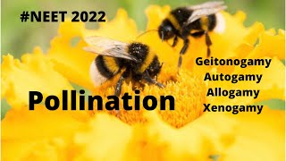 What is pollination and it’s types  part 4  Autogamy  Geitonogamy  Allogamy  Xenogamy [upl. by Oiramd]