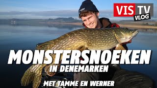 VIS TV Vlog 36  Deense monstersnoeken [upl. by Eanore]