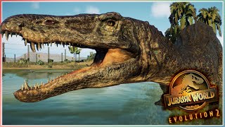 Allosaurus VS All Carnivore and Herbivore Dinosaurs Killing Animations 🦖 Jurassic World Evolution 2 [upl. by Patty871]