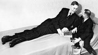 The Life Of Robert Wadlow The Worlds Tallest Man Ever [upl. by Worth910]