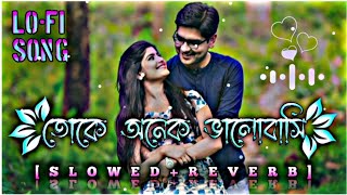 toke onek valobasi  তোকে অনেক ভালোবাসি   slowed reverb   Bangla song 🎧 trendingsong viral [upl. by Kcirrem998]