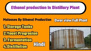 Ethanol Production From Molasses in Distillary Plantschemicaltechnical [upl. by Leta]