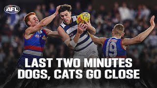 Last Two Minutes Western Bulldogs v Geelong  Round 4 2024  AFL [upl. by Hareehat]