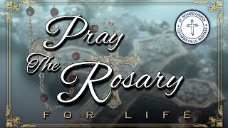 ROSARY FOR LIFE  MT Initiative CI128 Rosary Catholic ProLife Christianity Montana BVM [upl. by Nylcsoj590]