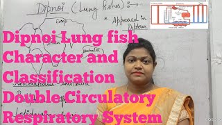 Dipnoi Lung fish ExternalInternal features Classification and Circulatory Respiratory system [upl. by Eitsrik427]