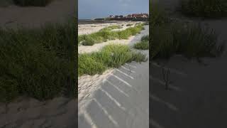 Baltrum Strand am Hafen Westpromenade beach travel baltrum nordsee ostfriesland deutschland [upl. by Stannwood536]