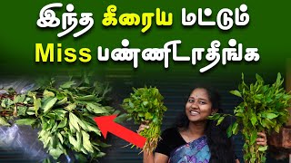 கீரையை பார்த்தே கண்டுபிடிக்கலாம்  Health Benefits of Spinach  Food Video [upl. by Edme205]