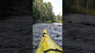 Whiskey Rapids Oxtongue River Algonquin Park In A Kayak [upl. by Elwina]