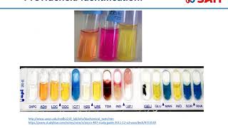 Microbiology  Proteus Providencia and Morganella [upl. by Newkirk716]