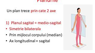 Alcatuirea corpului uman  planuri si raporturi anatomice BAC BIOLOGIE 2020 [upl. by Mattheus905]