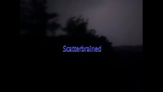 Scatterbrained  Short film [upl. by Harms]