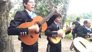 Mariachi Cantico de David en Asilo de Ancianos [upl. by Leanna]