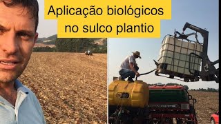 Aplicação biológicos no sulco de plantio [upl. by Giguere]