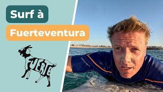 Quand et où surfer à Fuerteventura  Infos et spots pour les surfeurs débutants à Corralejo [upl. by Lramaj586]