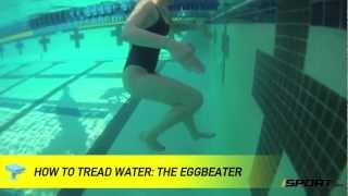 How to Tread Water in Swimming The Eggbeater [upl. by Dunseath]