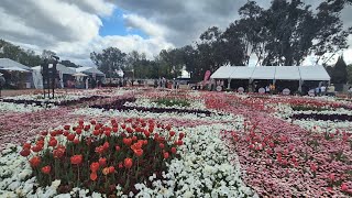 Floriade Flowers Festival Canberra Australia FloriadeDesign With Flowers Spring Flower Show [upl. by Dolf]