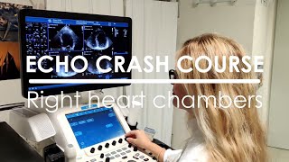 Echo Crash Course Right heart chambers [upl. by Ackley]