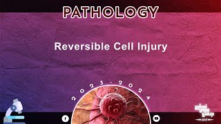 L3 Reversible cell injury Pathology [upl. by Gillett]