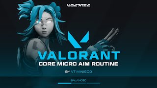 Voltaic Valorant Micro Fundamental Training [upl. by Nemajneb]