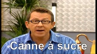 Quelle est lhistoire de lesclavage à la Réunion   Cest pas sorcier [upl. by Akinit12]