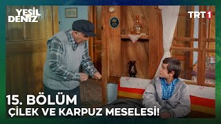 Çilek ve karpuz meselesi  YeşilDeniz 15 Bölüm [upl. by Pasadis112]