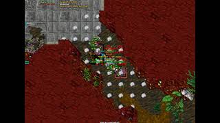 Epicwar Cavebot 100 Serpent e Medusa 1º Port hope [upl. by Quincey]