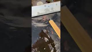 A roofer unclogs a roof drain [upl. by Toddie]